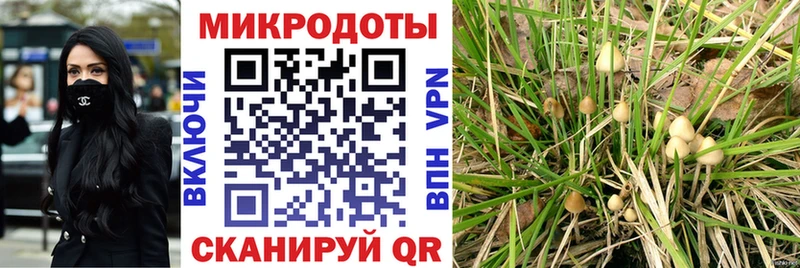 что такое   Усолье-Сибирское  Псилоцибиновые грибы Psilocybine cubensis 
